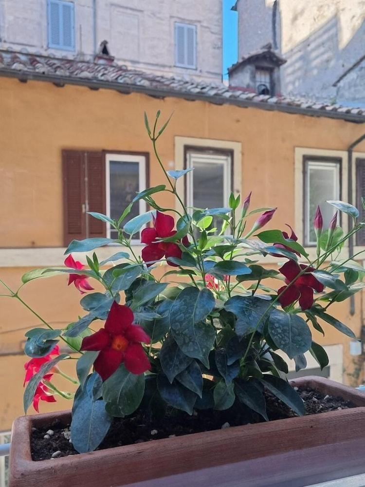 Gasthof Town House Spagna 2*